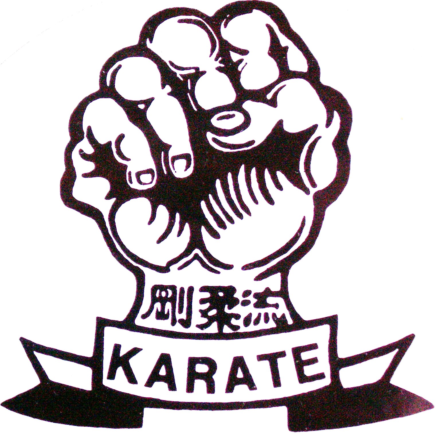 La mano chiusa a pugno simbolo del Goju Ryu Karate Do